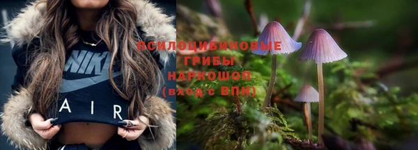 дурь Балахна