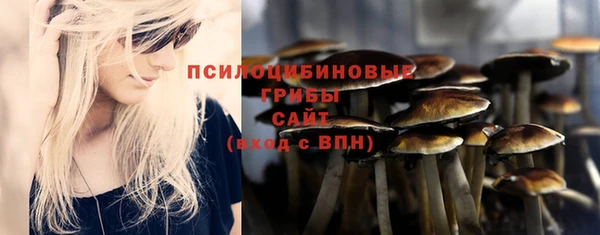 дурь Балахна