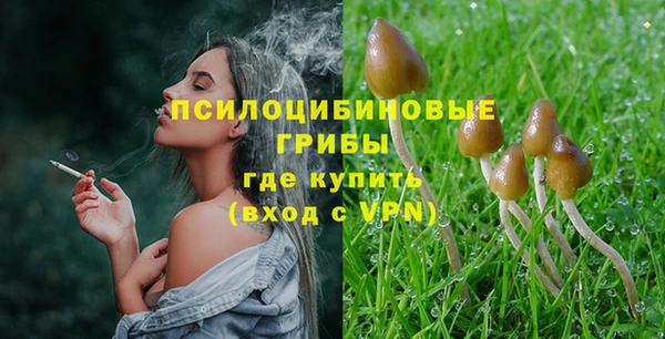 дурь Балахна