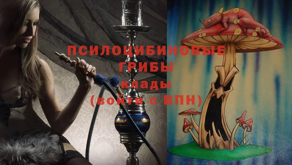 дурь Балахна
