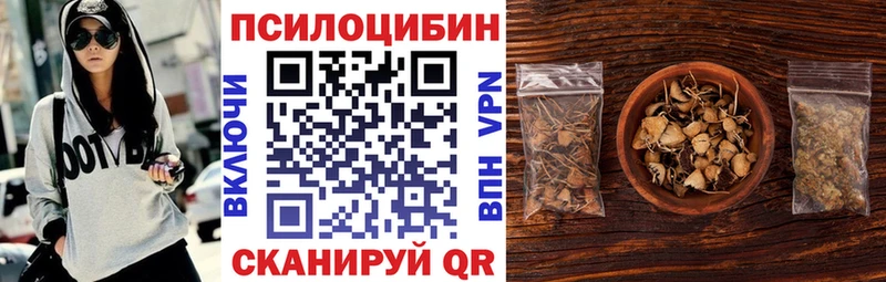 как найти   Демидов  Псилоцибиновые грибы прущие грибы 